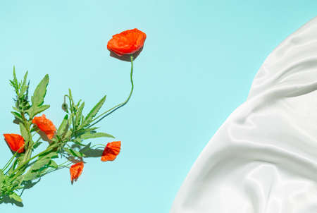 Creative composition made of red poppies on pastel blue background with white silk cloth. nature concept. Summer background in minimal style. top view. flat layの写真素材