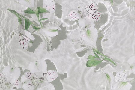 White alstroemeria flowers in water. Summer composition with sun and shadows. nature concept. top...