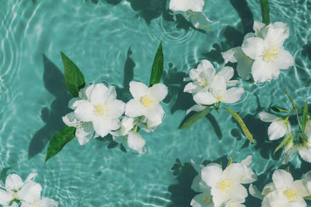 White jasmine flowers in transparent water. Summer floral composition with sun and shadows. nature concept. top view. selective focusの写真素材
