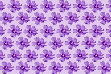 Floral pattern made of beautiful violet hibiscus flowers on pastel background. minimal style. nature...