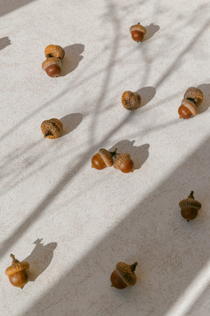 Creative composition made of acorns on pastel background with sunlit and shadows. Autumn, fall and...