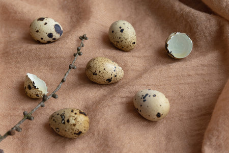 Quail eggs and branch on pastel fabric background. Easter creative concept. still life composition
