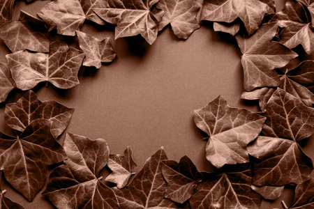 Ivy leaves lying as a frame. Abstract nature concept background. Minimal style. Top view. Flat lay. Color of the year 2025 inspiredの写真素材