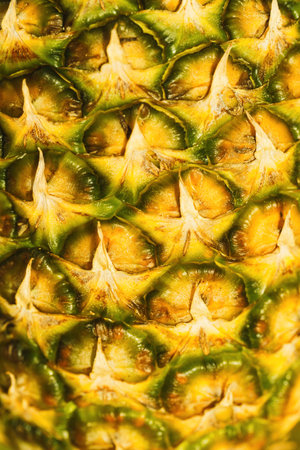 Pineapple peel texture closeup. Abstract backgroundの写真素材