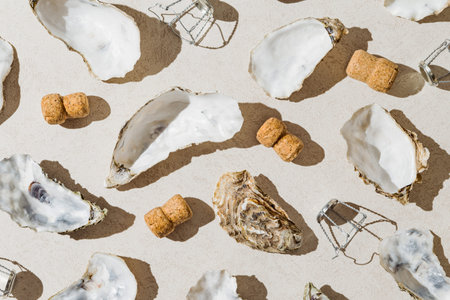 Creative composition made of oyster shells, champagne corks and metal wire muselet on pastel sunlit...