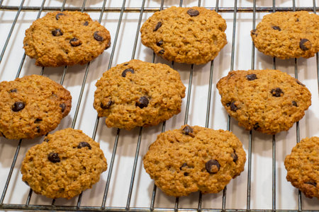 Homemade oatmeal cookies with chocolate chips on a cooling rack.の写真素材