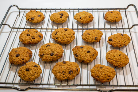 Homemade oatmeal cookies with chocolate chips on a cooling rack.の写真素材
