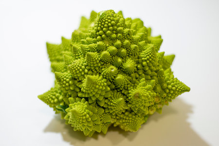 Romanesco broccoli on a white background, closeup of photoの写真素材