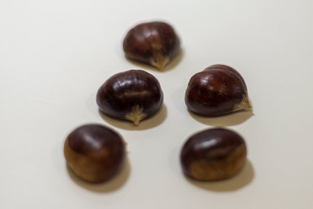 chestnuts on a white background, close-up, shallow depth of fieldの写真素材