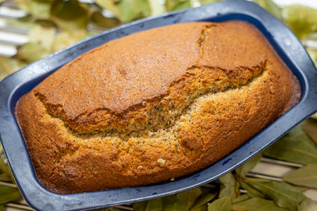Freshly baked loaf of bread in a baking dish with bay leavesの写真素材