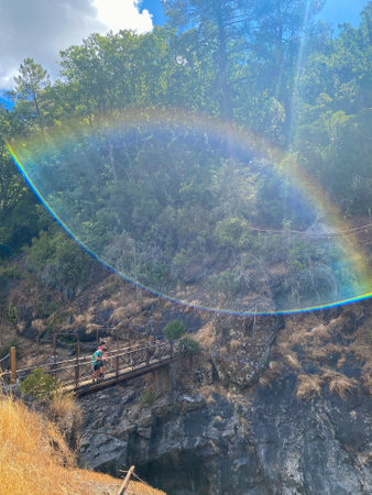 Rainbow in the forest with a girl on a wooden bridge.の写真素材