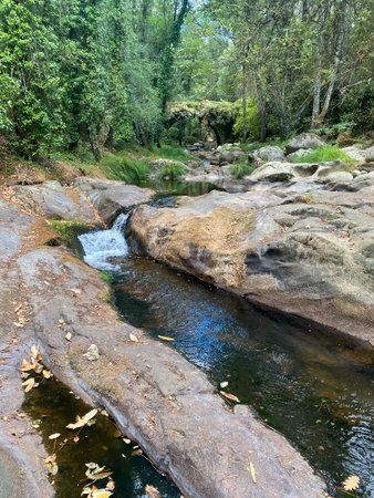 Mountain stream in the forest. Russia, Krasnodar regionの写真素材