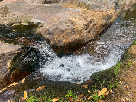 Small waterfall in the forest with fallen leaves on the rocks, Thailand.の写真素材