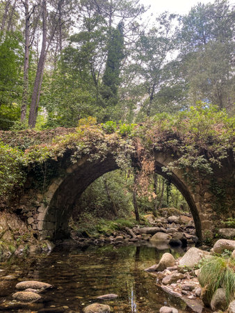 Old stone bridge over a small river in the forest, Spain.の写真素材