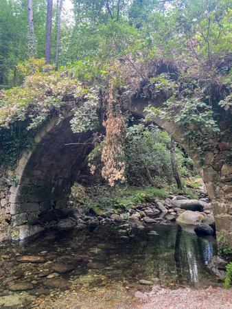 Old stone bridge over the river in the forest, close-upの写真素材