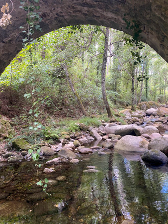 River in the forest with stones and a stone arch at the bottomの写真素材