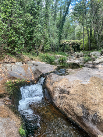 Waterfall in the forest. The concept of active and ecological tourismの写真素材