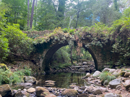 Old stone bridge over a small river in the forest. Summer scenery.の写真素材