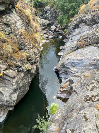 Mountain river flowing through the rocks in the forest. The concept of active and photo tourismの写真素材