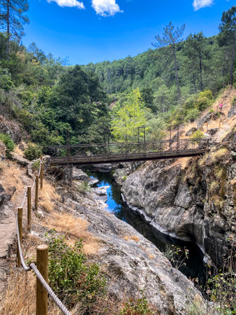 Bridge over the mountain river in the forest. Beautiful summer landscape.の写真素材