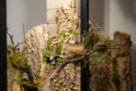 Miniatures Handmade nativity scenes made by typical Christmas craftsmen in Spainの写真素材