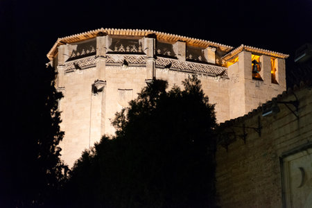 Night view of the streets of the city of Salamanca, Spainの写真素材