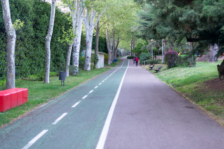 Bicycle path in the park with trees and grass in the background CARRIL BICICLETAS SALAMANCAの写真素材
