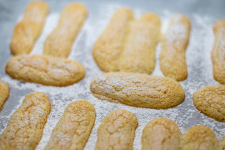 Homemade shortbread cookies sprinkled with powdered sugar on a baking sheet