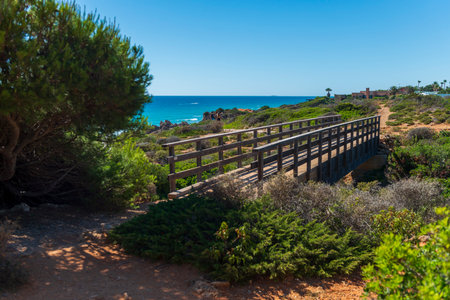 Wooden bridge over the sea in California coastlineの写真素材
