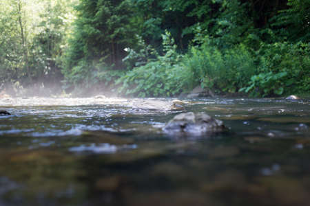 Against the background of the dense wood the river flowsの写真素材