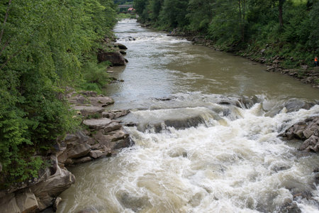 Between dense trees the rough small river runsの写真素材