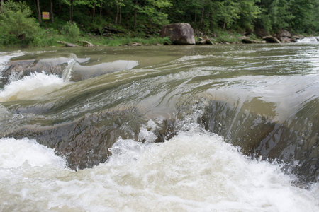 Against the background of the wood the quiet river, the bottom view plivt