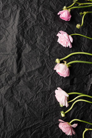 The layout of pink flowers from the top of them vertically on a black background. Picture of...