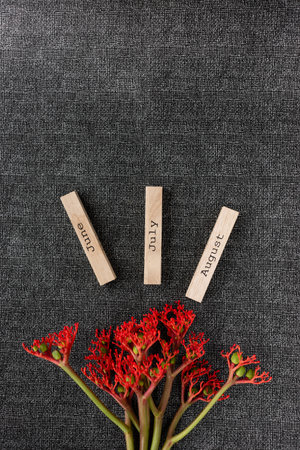 Subject filming. Red flower with the inscription flying months. June, July and August carved on...