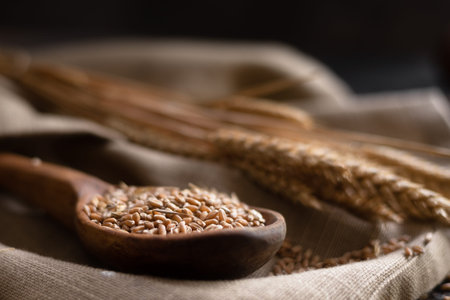 a new grain harvest, a wooden spoon lying on the table in it are filled with wheat grain