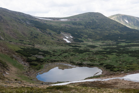Aerial photo of the lake in the forests with big mountains. Altay