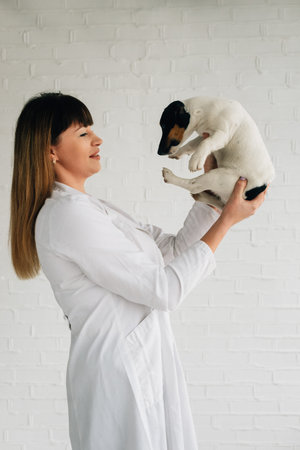 Female doctor vet with little puppy in the office. Clinic for animals