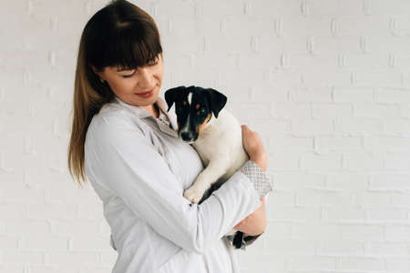 Dog in the arms of his doctor. Jack Russell Terrier on a white background. The concept of people and animals.の写真素材
