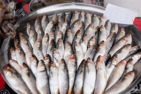 Fresh seafood counter at the fish market in the port of Essaouira. Many fish lie on the counter.の写真素材