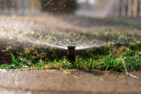 automatic watering sprinkler, beautiful green lawn watered on a hot summer day