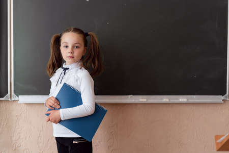 Young girl with a folder. Pupil near the blackboard. School education. Learning a child. A girl with blonde hair gets knowledge.の写真素材