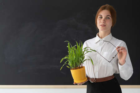 young beautiful girl student stands near a blank board. place for text. Glasses for sight. Green plant holds in hands.の写真素材