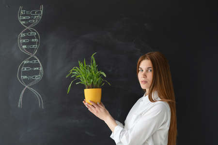 Beautiful woman biology teacher. He stands in front of the board and holds a flower pot in his hands with a green flower. The girls hair is loose and long. A biological chain is drawn in chalk on a blackboard.の写真素材