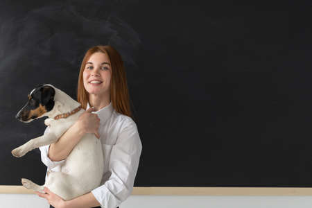 Girl biology teacher in an anatomy lesson shows a dog Jack Russell. She is standing in her arms in front of the board. The study of the body structure of the dog. Biologist loves his profession. School education.の写真素材