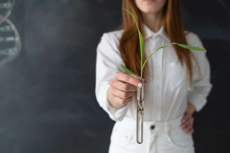 A green sprout stands in a test tube. This test tube is filled with water to continue the life of this plant. The girl holds a test tube. She is in a white shirt and white pants. Holding the other hand at the waist.の写真素材