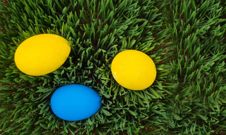 Bright and colorful Easter card, colorful Easter eggs in the grass, green grass, colorful eggs, Easter holiday.の写真素材