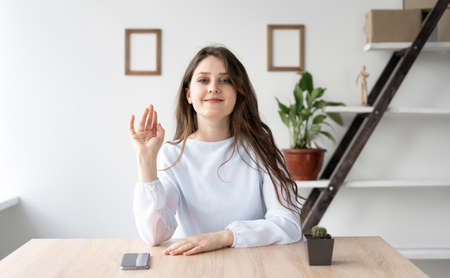 One young Caucasian lady is sitting at home at her desk. looks at the camera and waves cheerfully. Online communication and video chat concept. webcam view.の写真素材