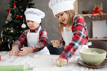 Children making Christmas cookies in the home kitchen. Family Christmas. brother and sister cooking gingerbread.の写真素材