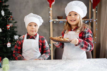 Children baking Christmas cookies before the holiday in the home kitchen. Brother and sister in the shape of a baker with a plate of gingerbread.の写真素材