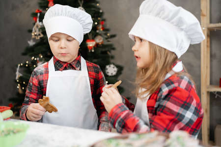 Happy little kids eating Christmas cookies in the kitchen, brother and sister in chef uniform are cooking at home, kids and Christmas gingerbread.の写真素材